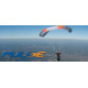 Pulse